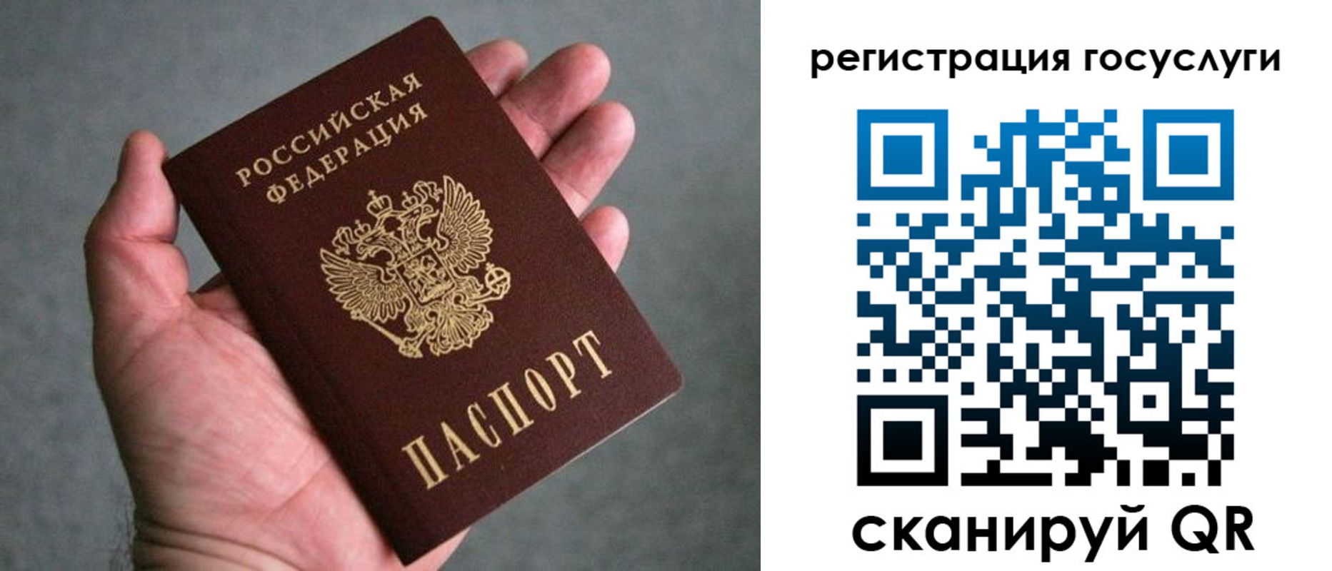 прописка поиск в Галиче